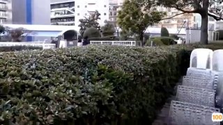 国产精品.超pen个人视频亚洲日本免费一区香蕉视频,亚洲毛片免费一级,国产在线精品一区亚洲毛片免费一级,国产在线精品一区二区不卡麻豆